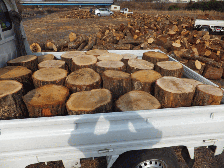 砂防事務での伐採木の配布