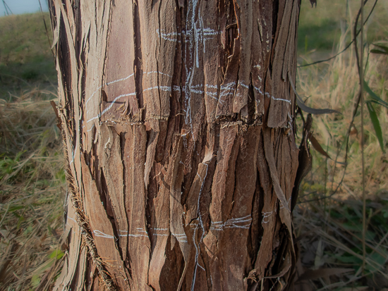 チョークで受け口を記す